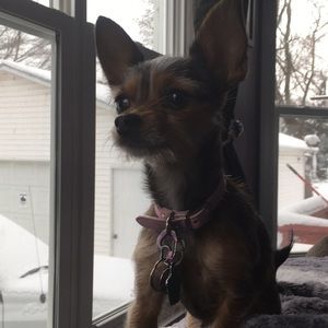 Meet your Posher, Joann